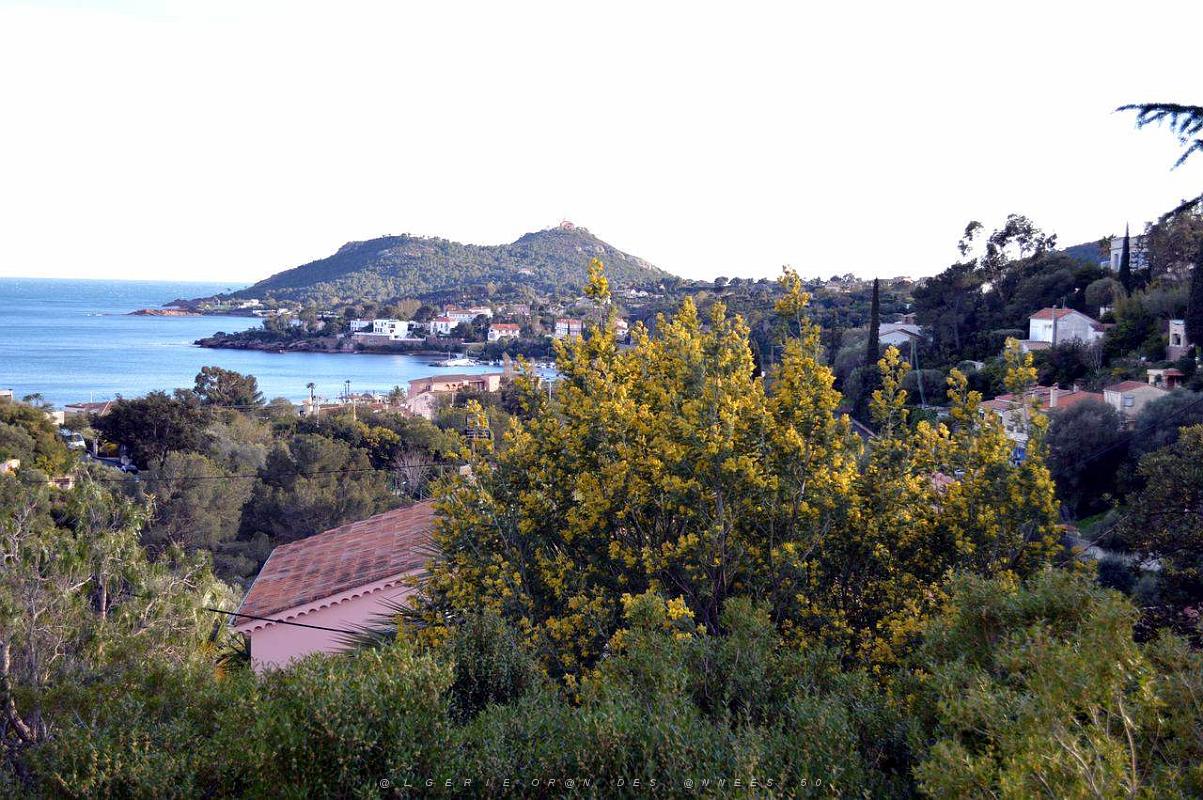 a016- Agay igesa.JPG